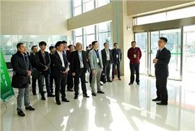 多層線路板廠家