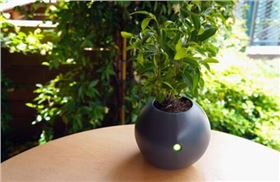 電路板廠家綠化