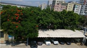 電路板廠家綠化