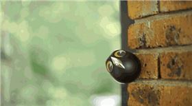 智能家居線路板