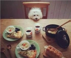 電路板廠圣誕禮物盤(pán)點(diǎn)