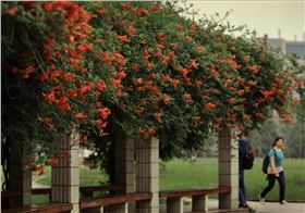 電路板廠之校長致辭:去大學(xué)談戀愛吧 電路板廠之校長致辭:去大學(xué)談戀愛吧