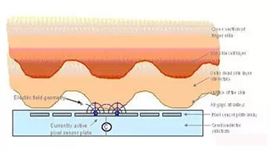 指紋識(shí)別模組線路板為您科普丨指紋識(shí)別工作原理