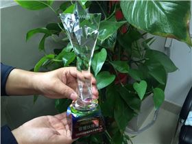 深聯(lián)PCB廠榮獲2016年度“榮譽(yù)伙伴獎”