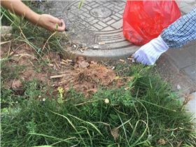 深聯(lián)PCB廠號召大家不要隨手丟垃圾，共同盡力守護我們的家園