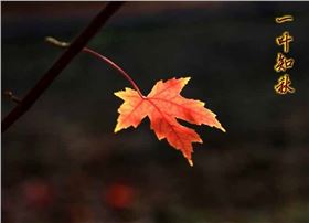 今日立秋‖深聯(lián)線路板告訴你秋天的那點(diǎn)事 今日立秋‖深聯(lián)線路板告訴你秋天的那點(diǎn)事