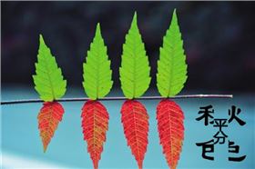 今日立秋‖深聯(lián)線路板告訴你秋天的那點(diǎn)事 今日立秋‖深聯(lián)線路板告訴你秋天的那點(diǎn)事