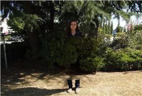 PCB小編看到哈利·波特的魔法好像成為現(xiàn)實(shí)了？