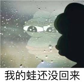 “蛙兒子”，整個電路板朋友圈都在等你回家呢