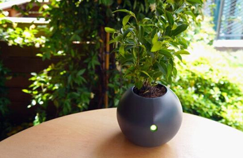 電路板廠家綠化