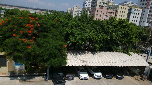 電路板廠家綠化