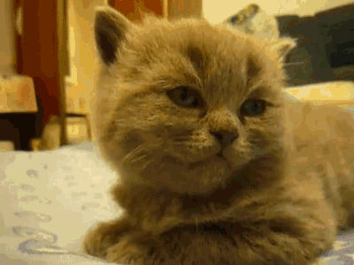 線路板廠支招假期綜合癥 線路板廠支招假期綜合癥