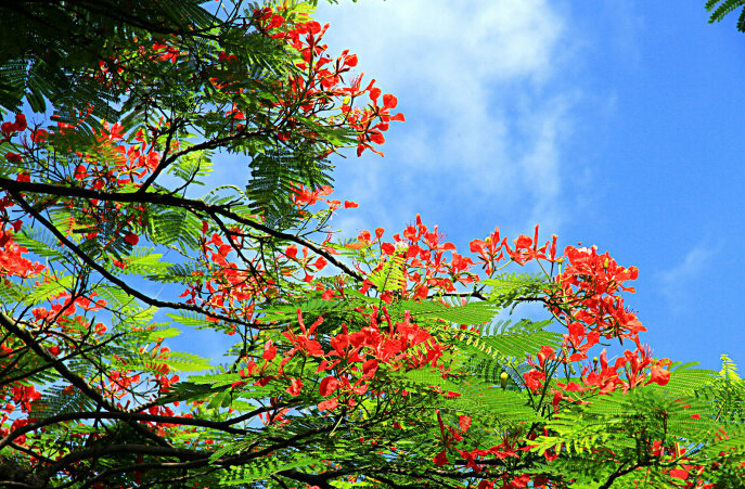 電路板廠之深圳天氣預(yù)報 電路板廠之深圳天氣預(yù)報