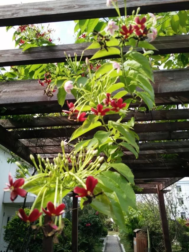 psbCAYB213N.jpg psbCAYB213N.jpg