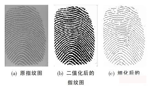 指紋識(shí)別模組線路板為您科普丨指紋識(shí)別工作原理