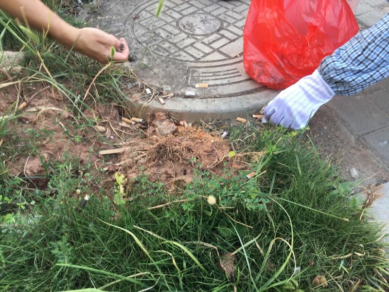 深聯(lián)PCB廠號召大家不要隨手丟垃圾，共同盡力守護(hù)我們的家園