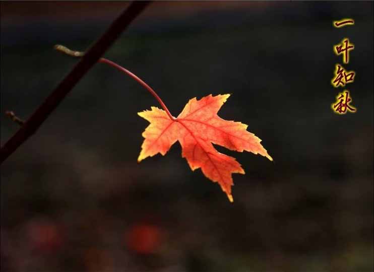 今日立秋‖深聯(lián)線路板告訴你秋天的那點(diǎn)事 今日立秋‖深聯(lián)線路板告訴你秋天的那點(diǎn)事