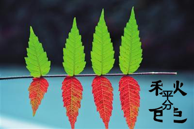 今日立秋‖深聯(lián)線路板告訴你秋天的那點(diǎn)事 今日立秋‖深聯(lián)線路板告訴你秋天的那點(diǎn)事