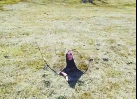 PCB小編看到哈利·波特的魔法好像成為現(xiàn)實(shí)了？